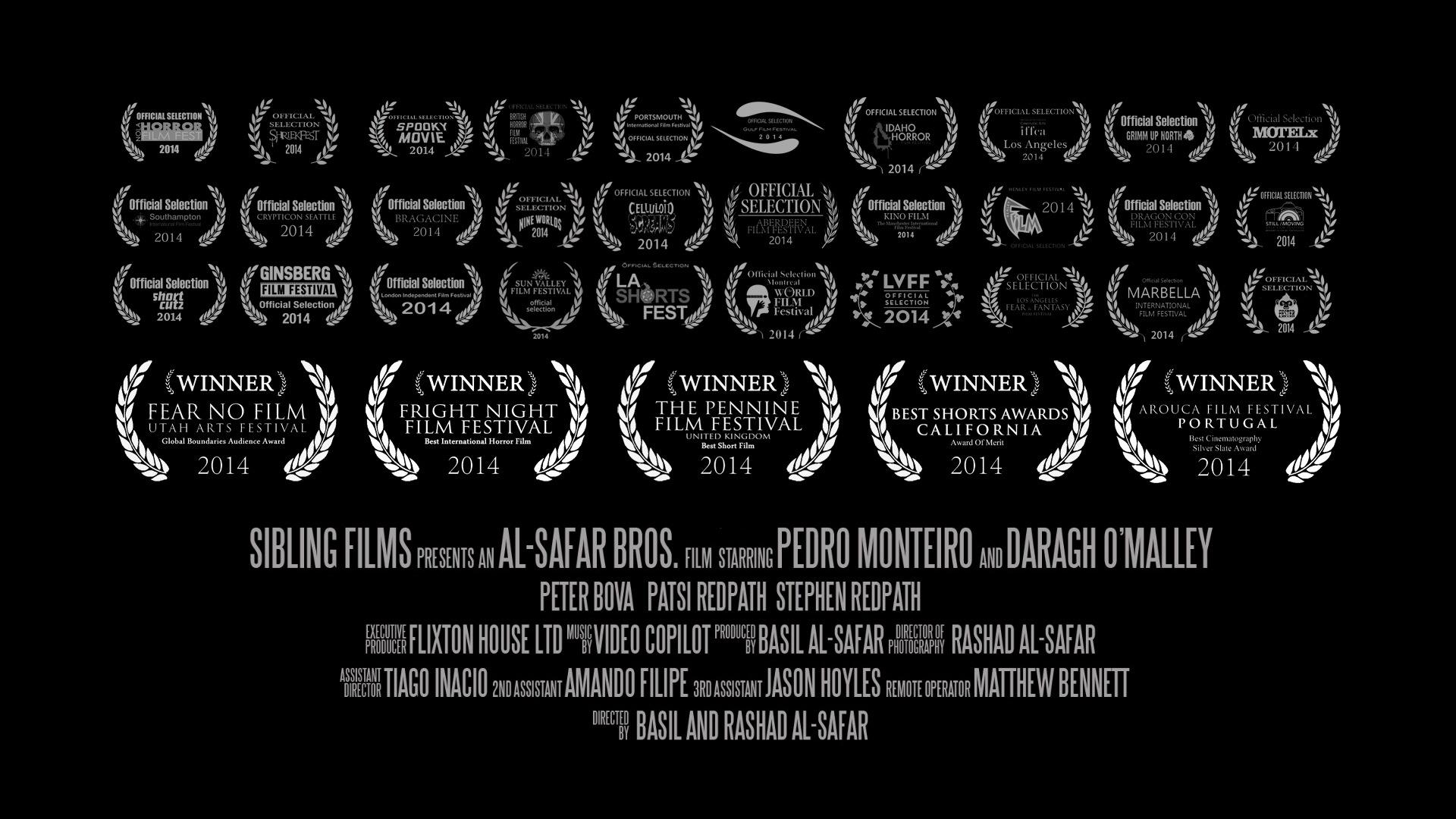 the jigsaw poster and some of the 30 awards